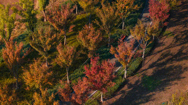 640 (6) 00_00_00-00_00_30.gif