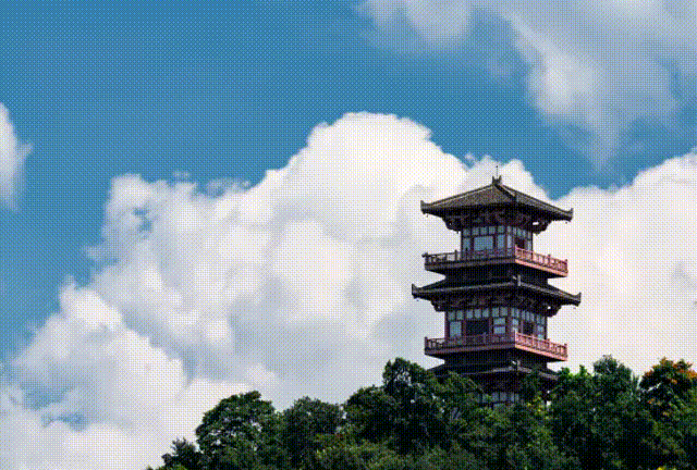 19f33c29ee5807a23fc65b75e839f687-sz_814309 00_00_00-00_00_30.gif 19f33c29ee5807a23fc65b75e839f687-sz_814309 00_00_00-00_00_30.gif