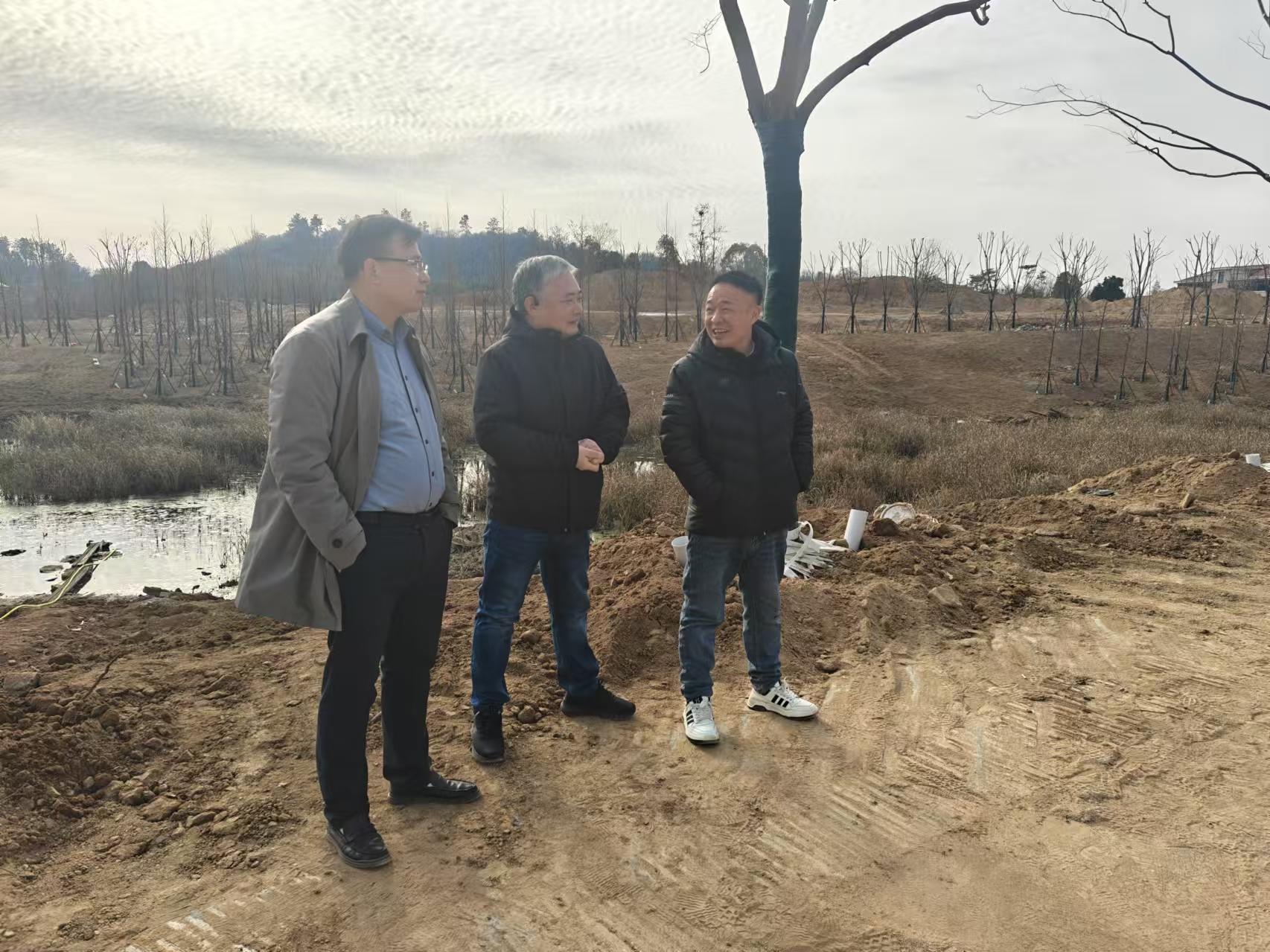 微信图片_20250113143530.jpg 微信图片_20250113143530.jpg