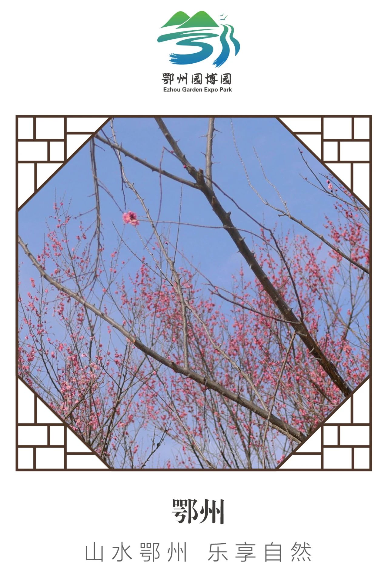 微信图片_20250211101606.jpg