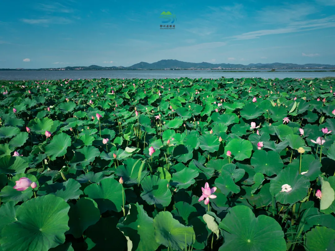 173363e6-de23-499f-8dbf-db9f95271717.png 173363e6-de23-499f-8dbf-db9f95271717.png